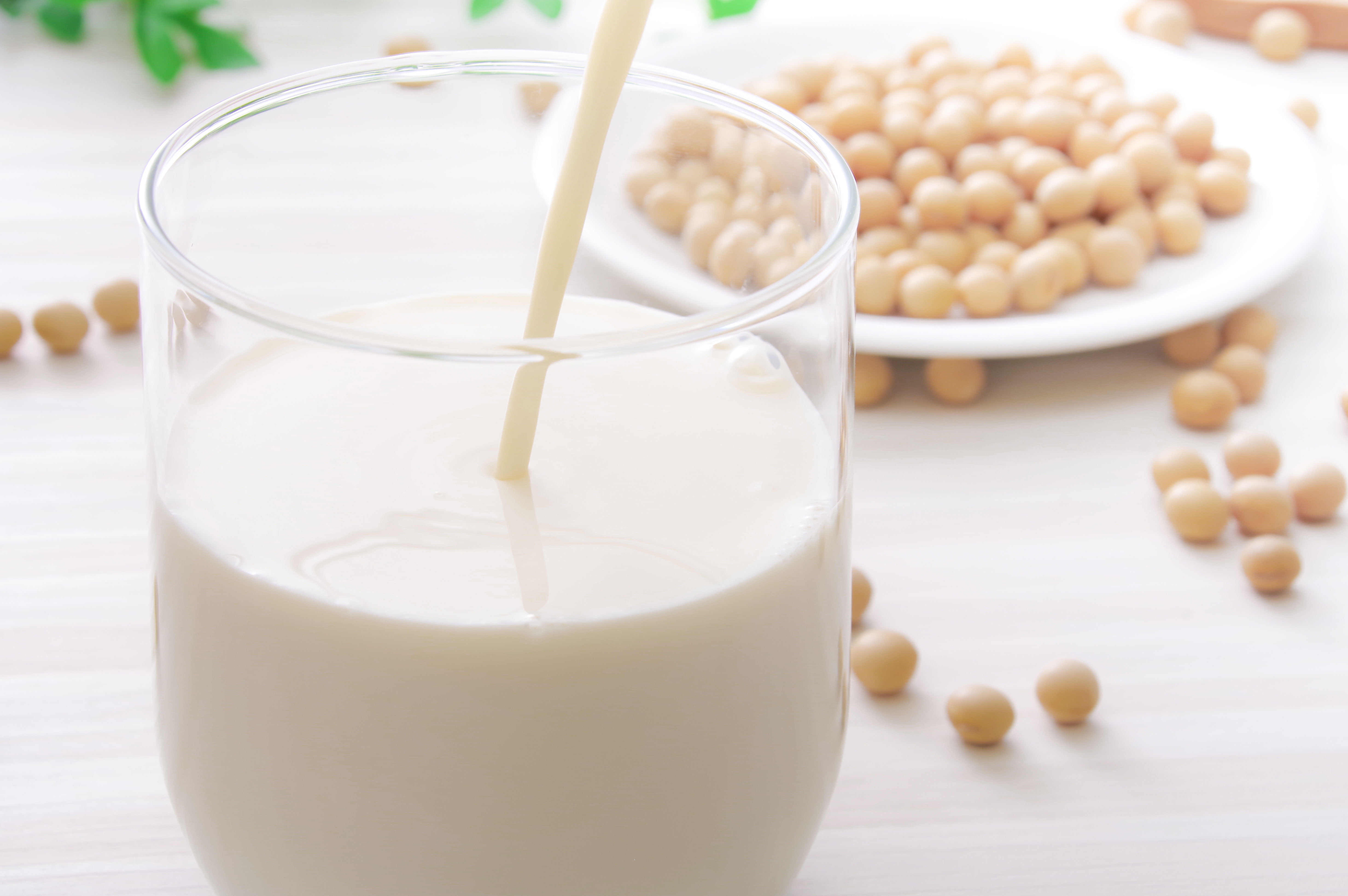 おいしいプロテイン！タンパキーノ｜SOOWY合同会社